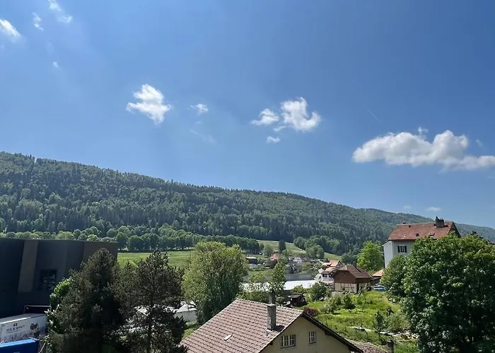 Lejlighed Joli De 3 Pieces Saint-Imier